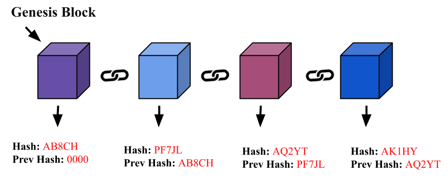 What a single block contains in blockchain