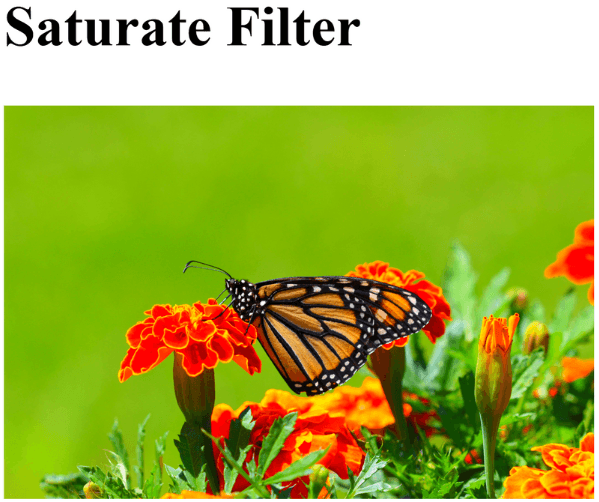 learn code with durgesh images